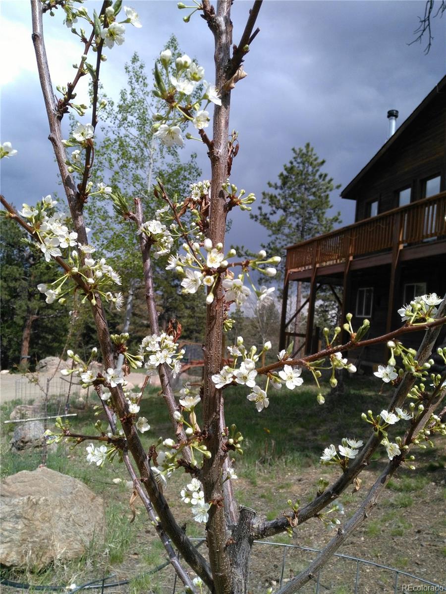 MLS Image #47 for 33508  persistence avenue,pine, Colorado