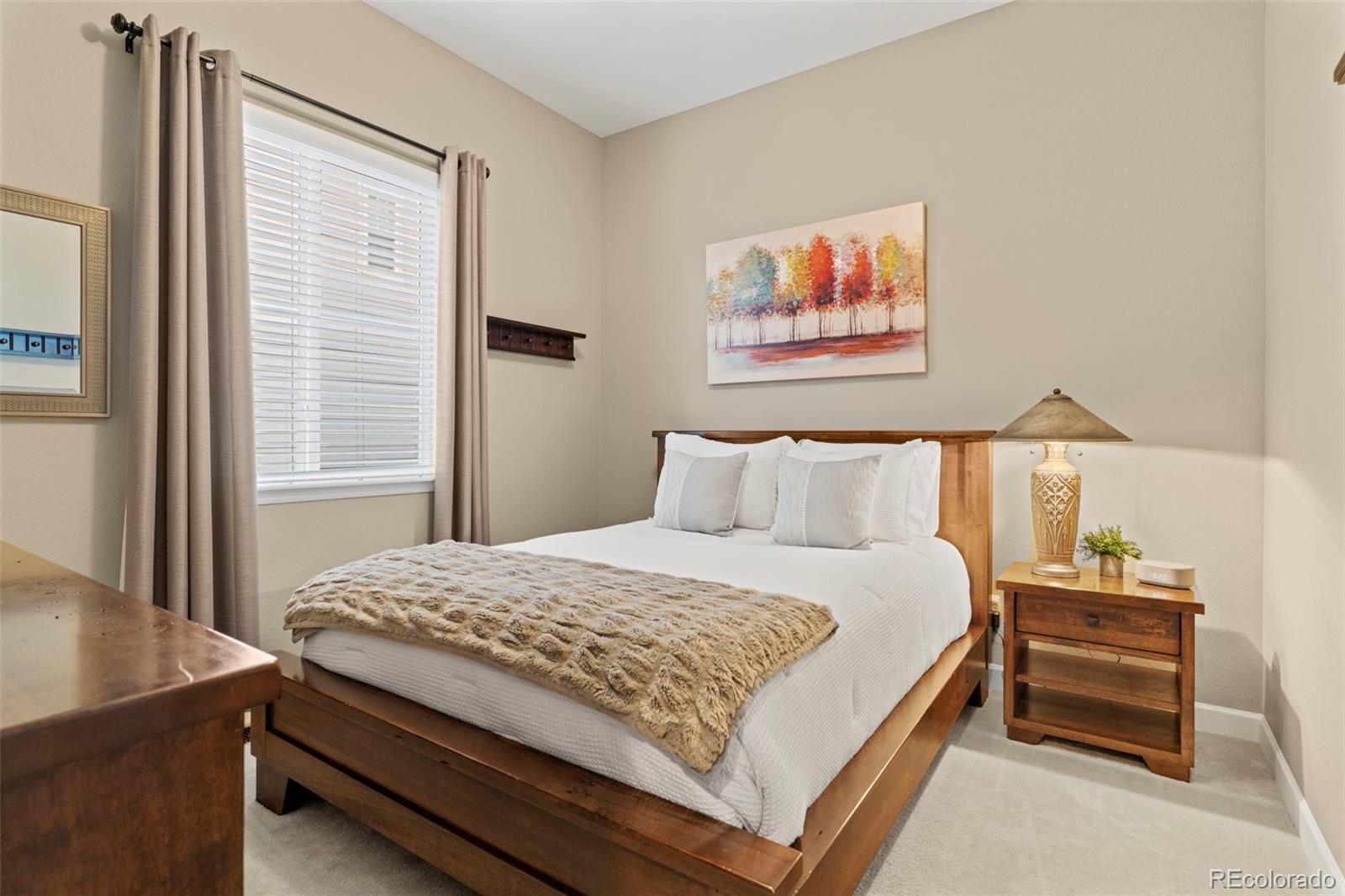 MLS Image #17 for 2896  keepsake way,castle rock, Colorado