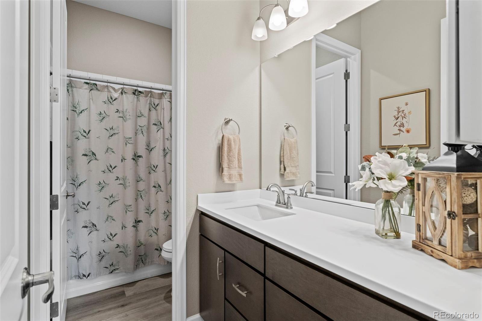 MLS Image #18 for 2896  keepsake way,castle rock, Colorado