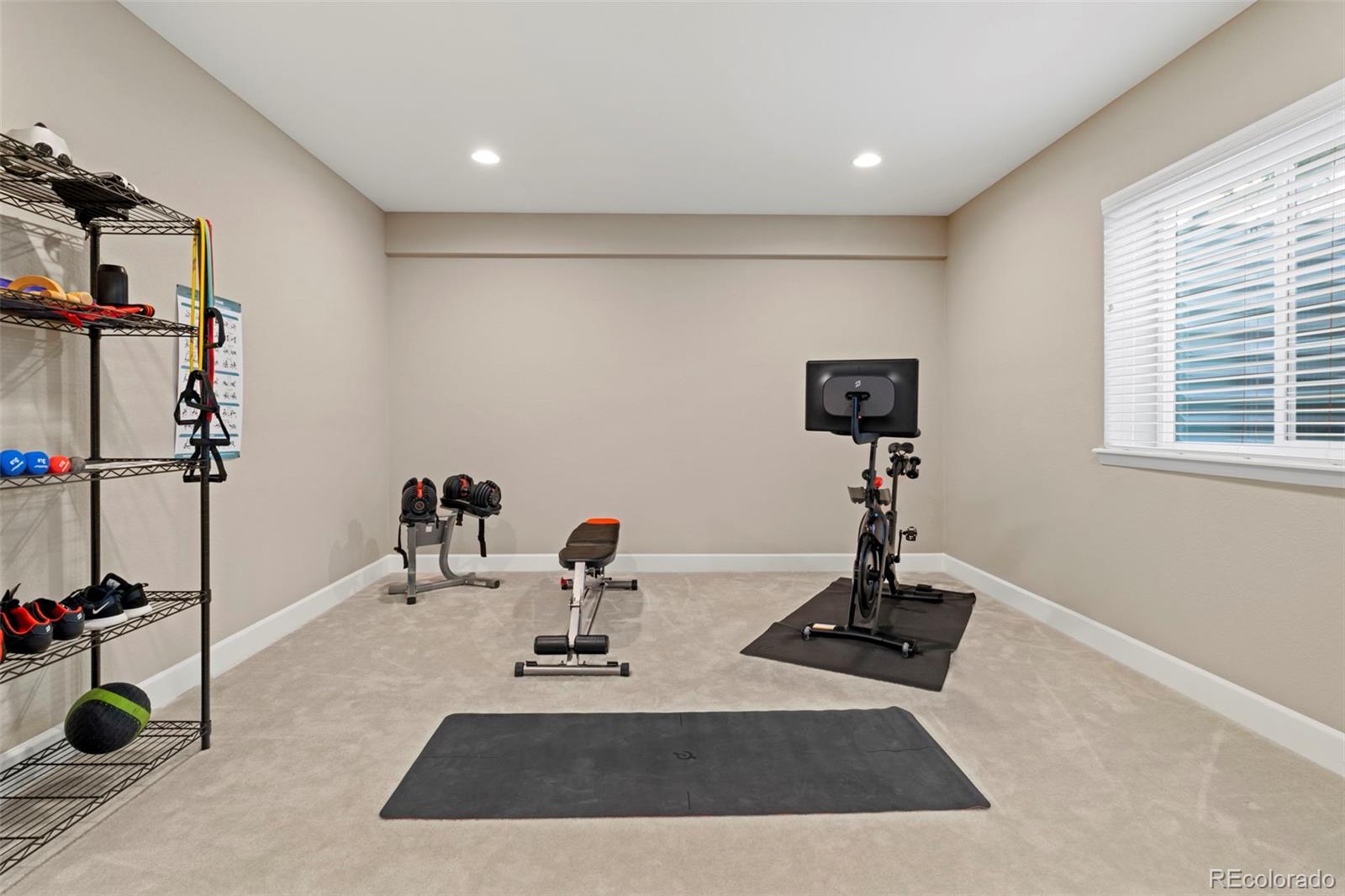 MLS Image #22 for 2896  keepsake way,castle rock, Colorado