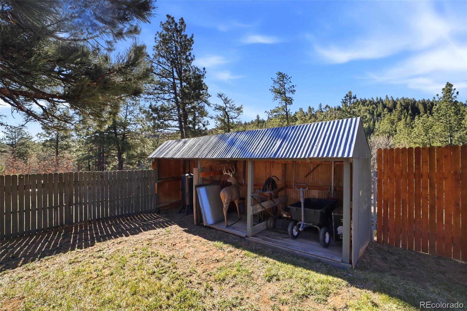 MLS Image #18 for 9028  cascade avenue,beulah, Colorado