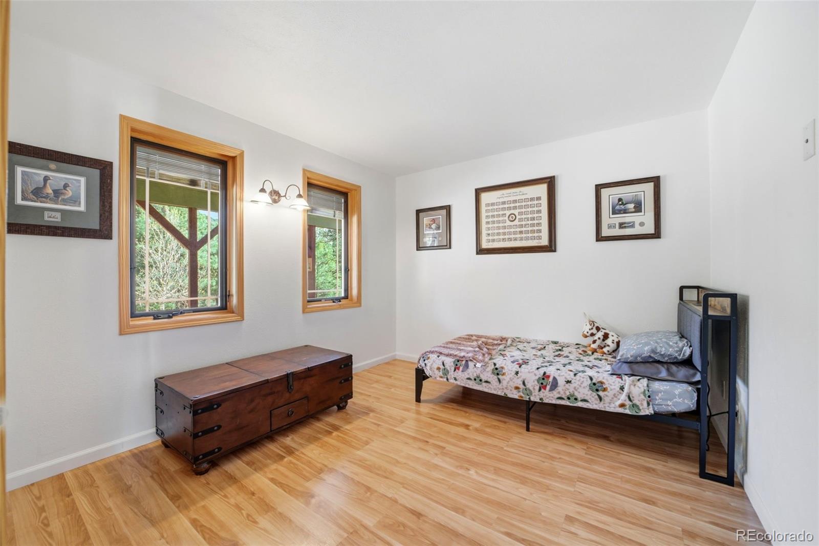 MLS Image #4 for 9028  cascade avenue,beulah, Colorado