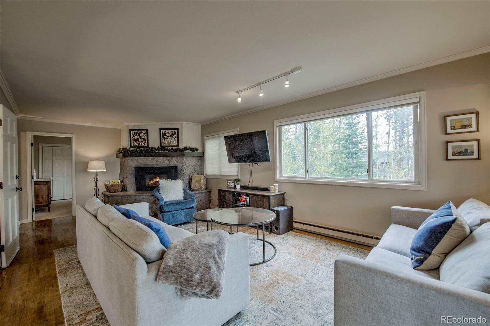 MLS Image #11 for 689  american way,breckenridge, Colorado
