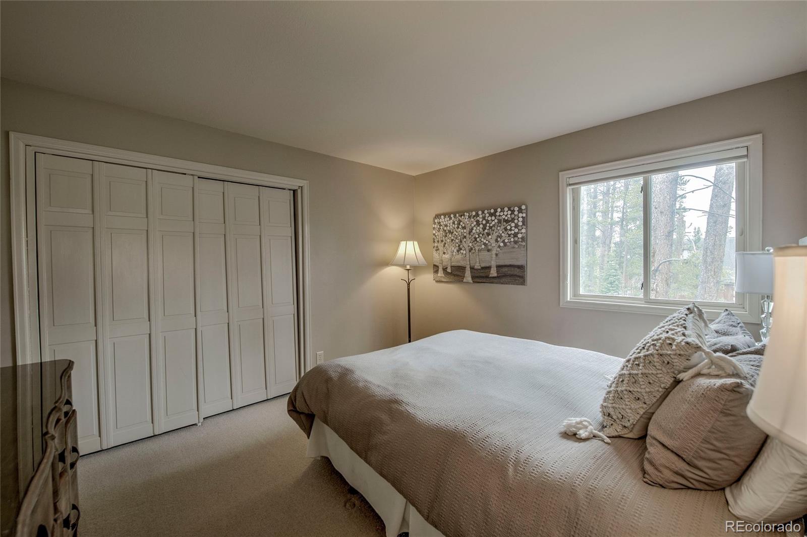 MLS Image #17 for 689  american way,breckenridge, Colorado