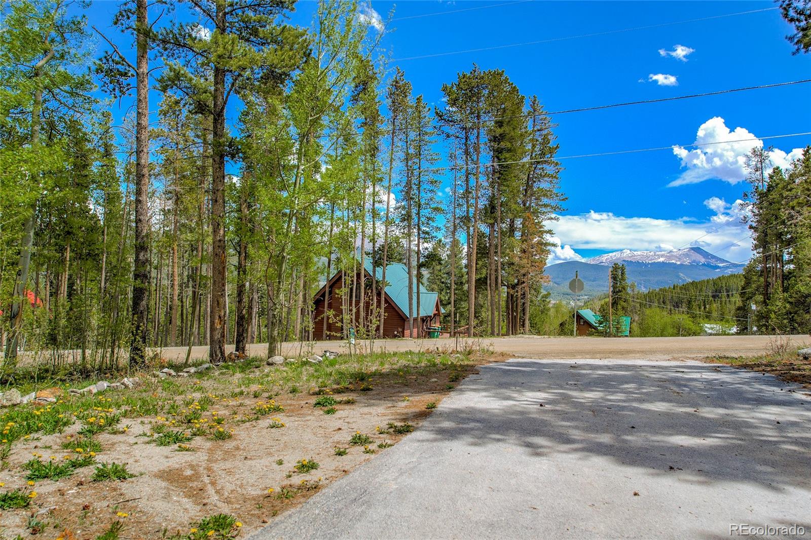MLS Image #40 for 689  american way,breckenridge, Colorado