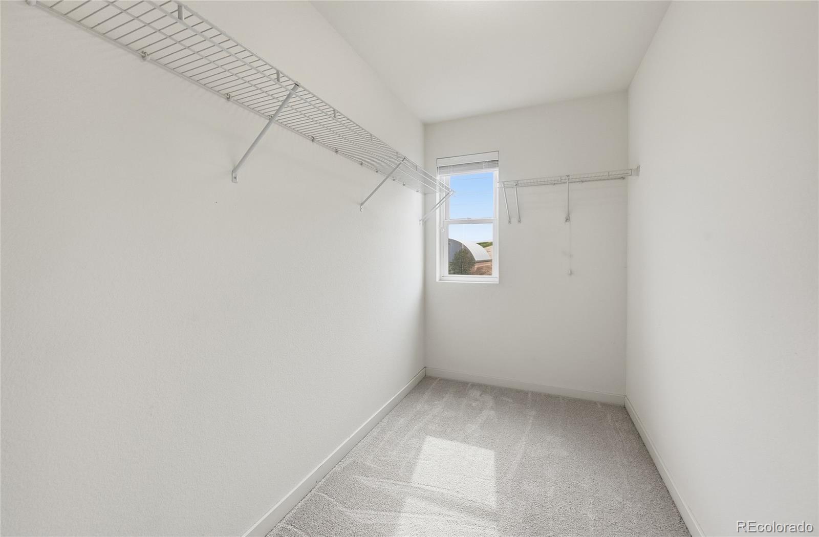MLS Image #15 for 10121  tall oaks street ,parker, Colorado
