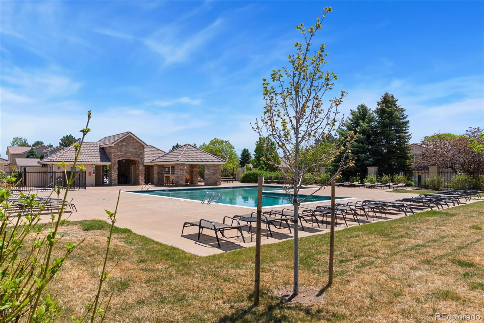 MLS Image #11 for 5115  pasadena way,broomfield, Colorado