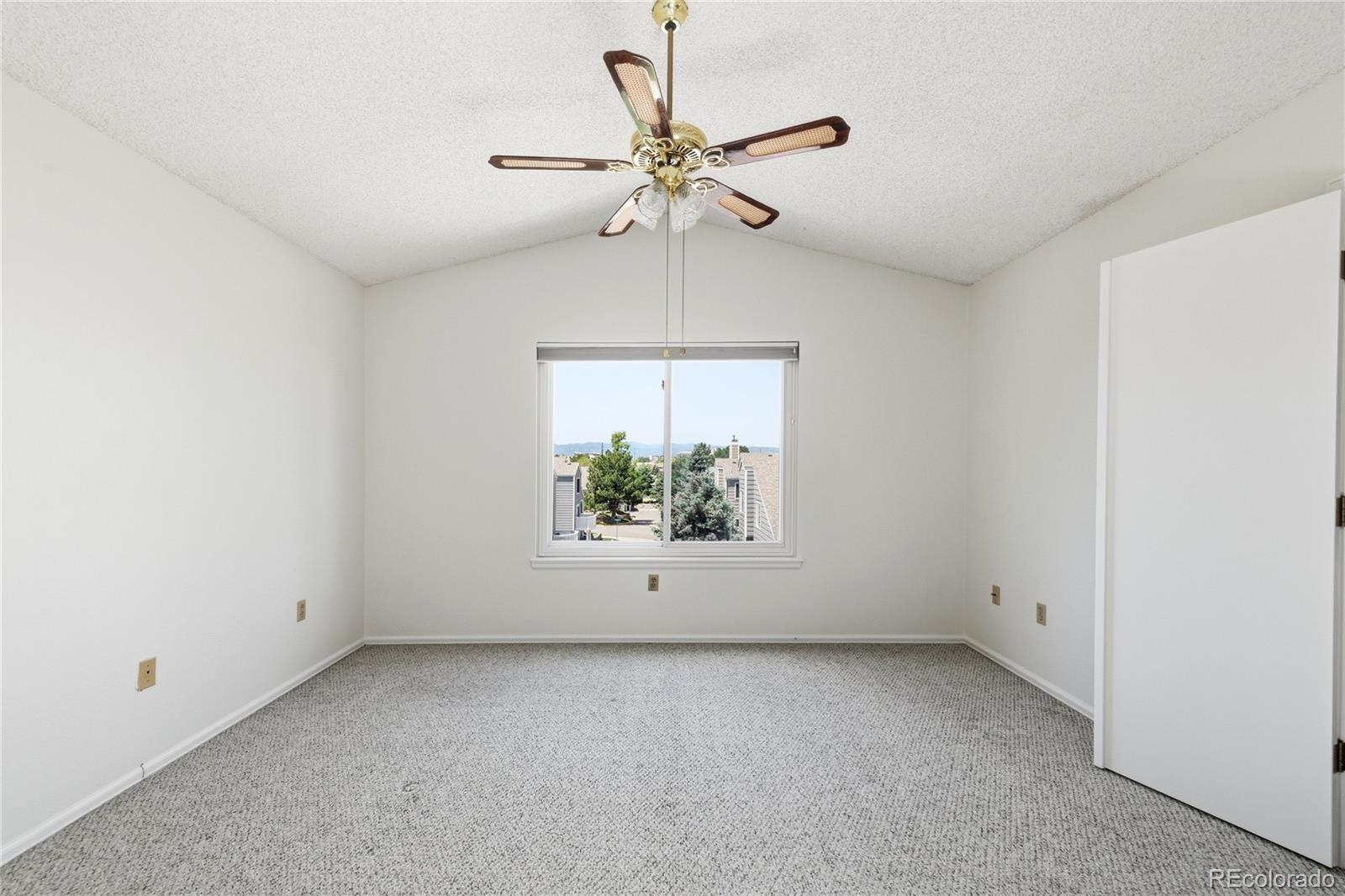 MLS Image #15 for 155  blue spruce court,highlands ranch, Colorado