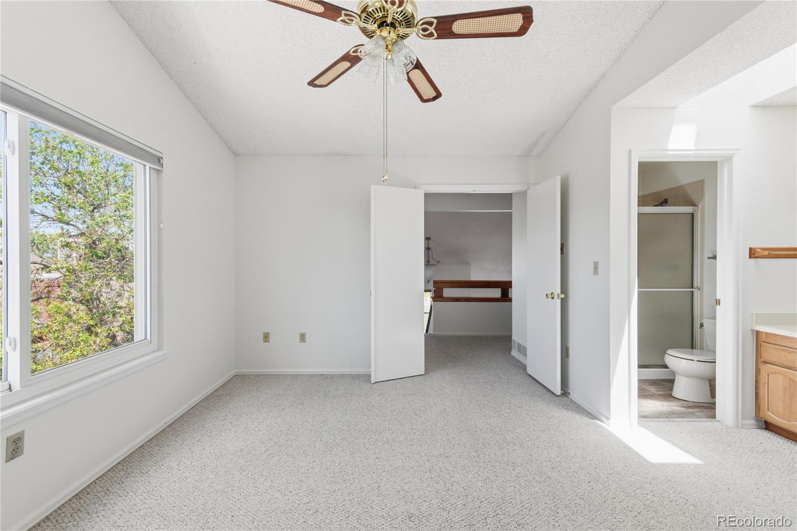 MLS Image #17 for 155  blue spruce court,highlands ranch, Colorado
