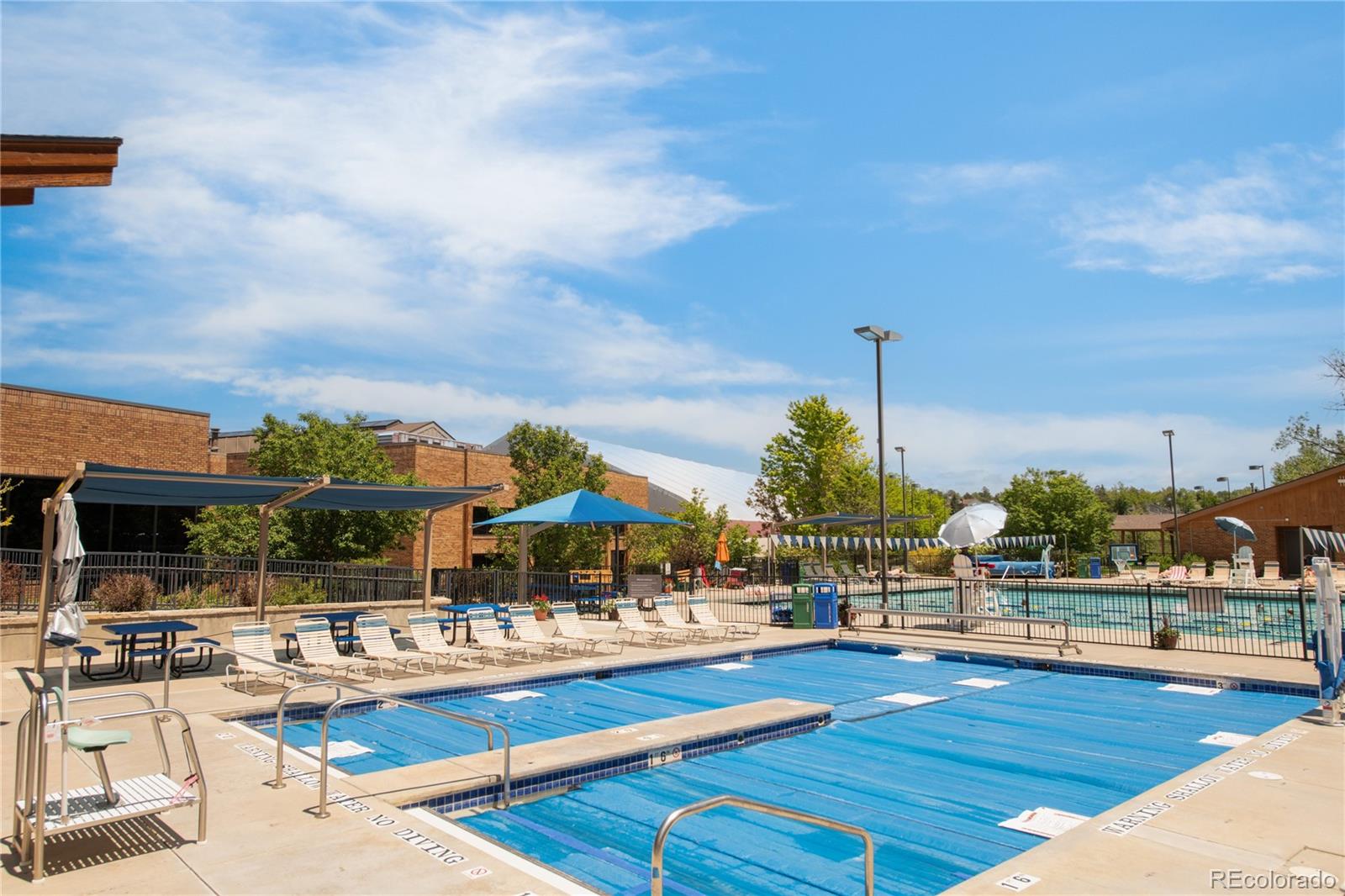 MLS Image #27 for 155  blue spruce court,highlands ranch, Colorado
