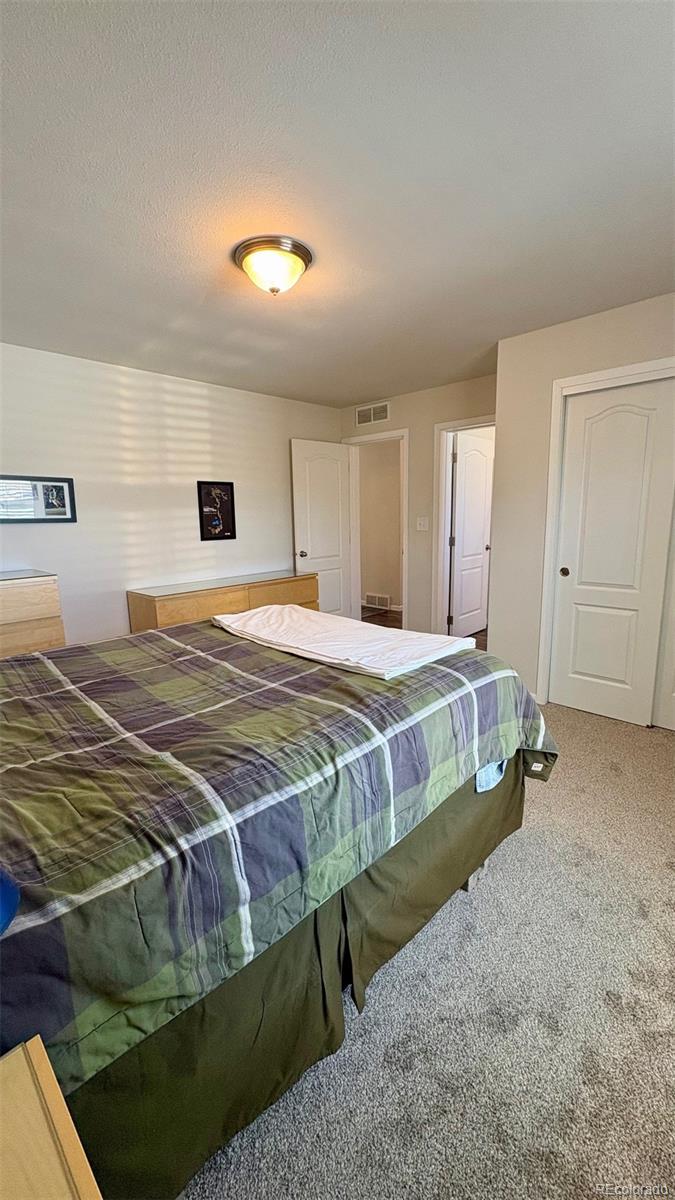 MLS Image #18 for 154  brooklyn circle,leadville, Colorado