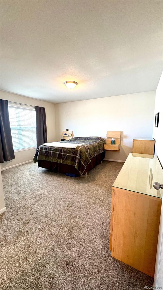 MLS Image #19 for 154  brooklyn circle,leadville, Colorado