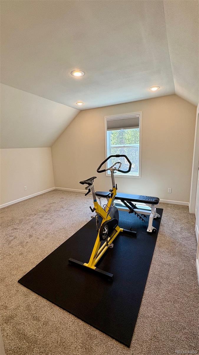 MLS Image #31 for 154  brooklyn circle,leadville, Colorado