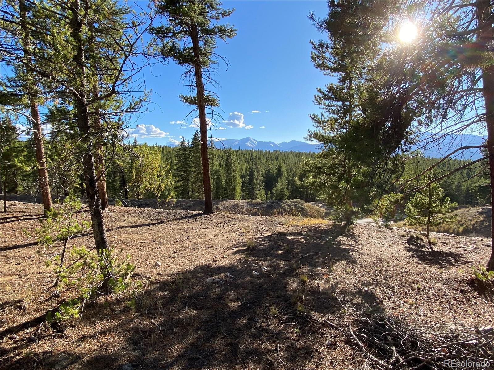 MLS Image #47 for 154  brooklyn circle,leadville, Colorado