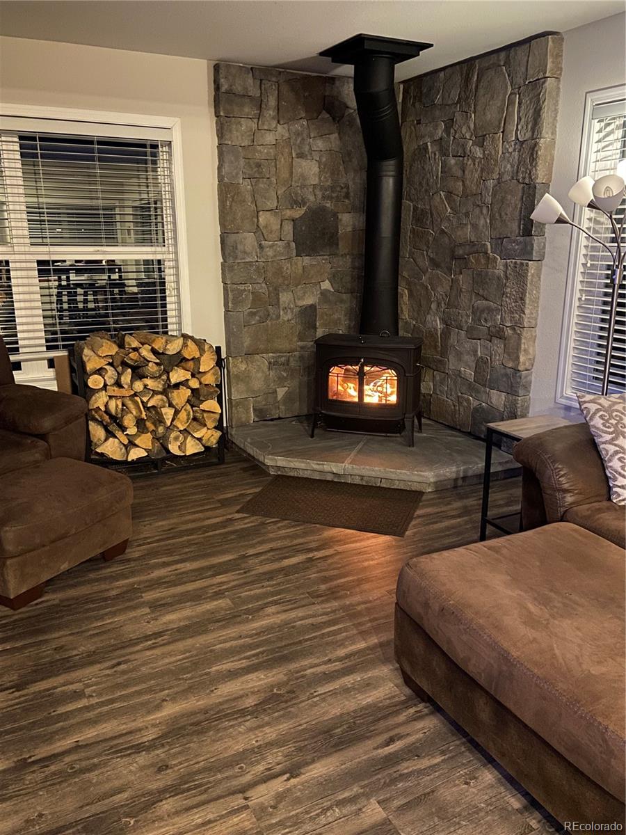 MLS Image #9 for 154  brooklyn circle,leadville, Colorado