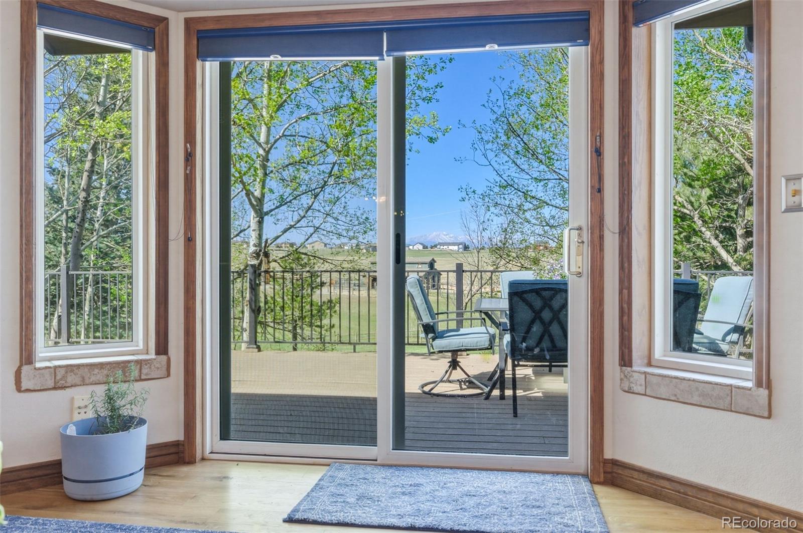 MLS Image #16 for 7655  lark bunting court,colorado springs, Colorado