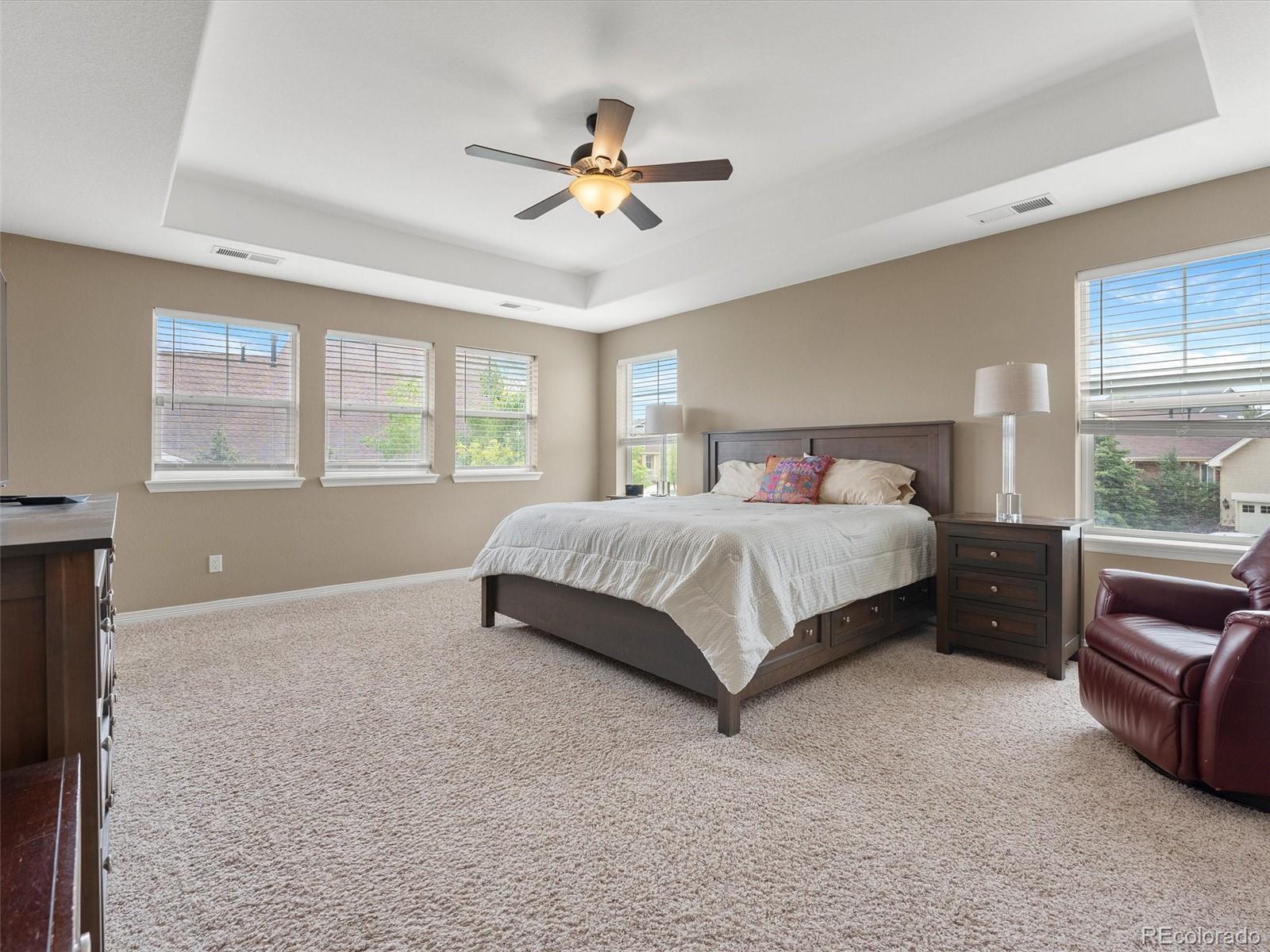 MLS Image #12 for 3919  desert ridge circle,castle rock, Colorado