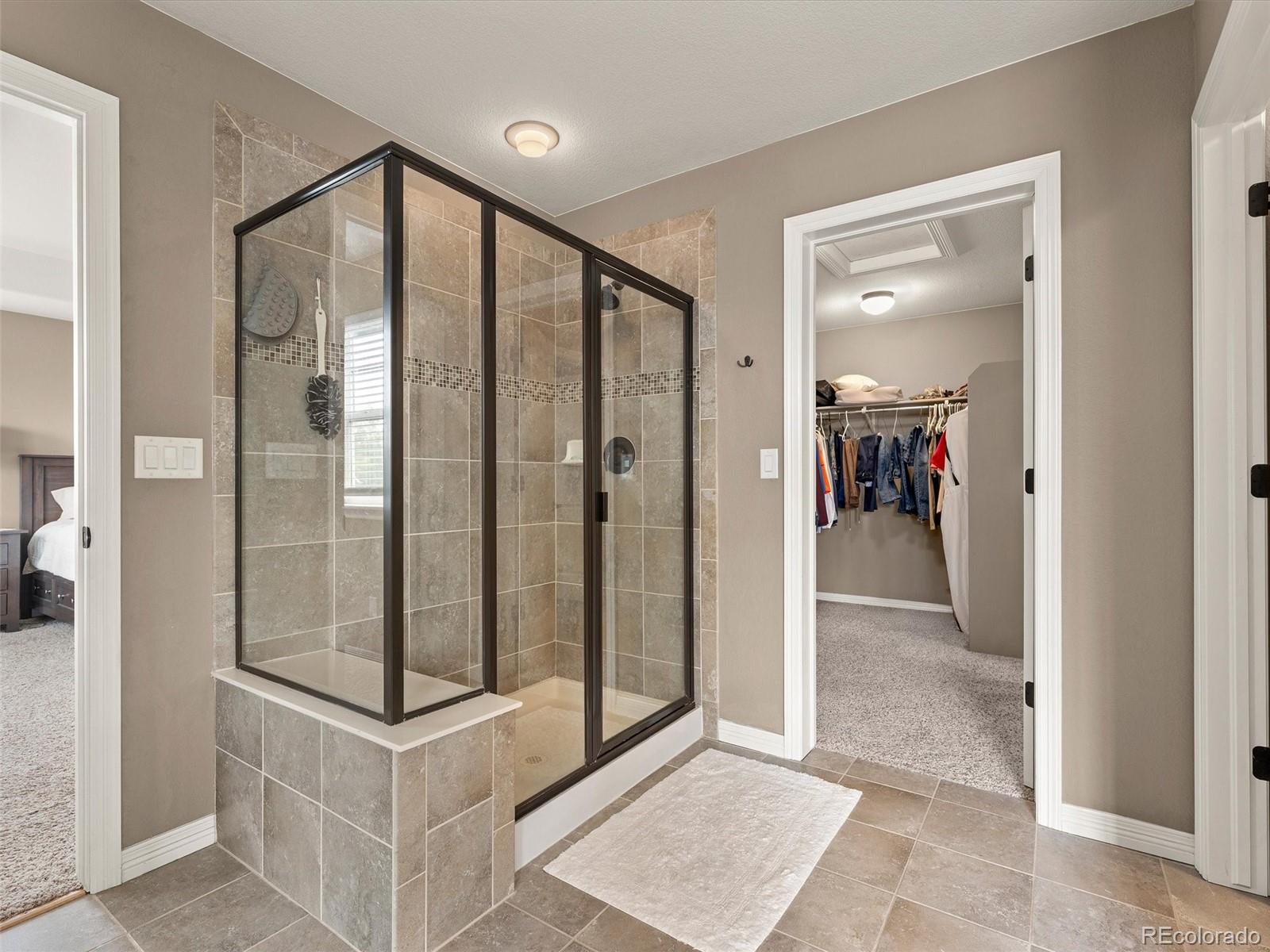 MLS Image #15 for 3919  desert ridge circle,castle rock, Colorado