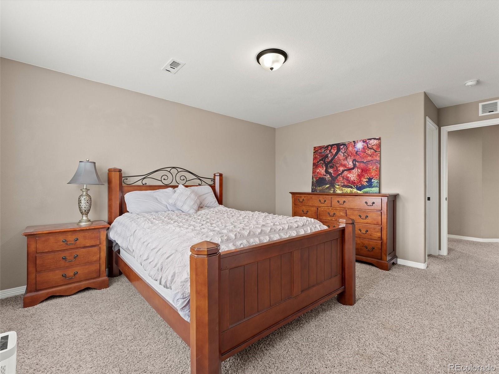 MLS Image #21 for 3919  desert ridge circle,castle rock, Colorado