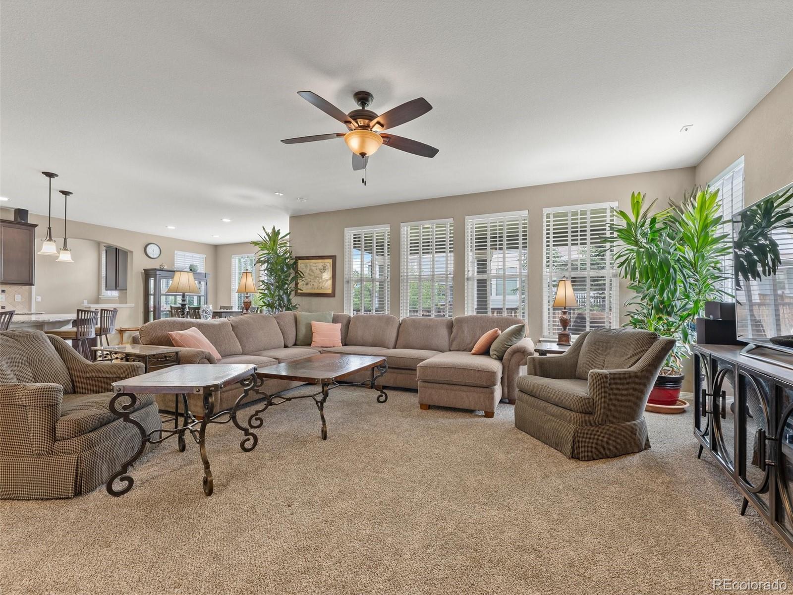 MLS Image #6 for 3919  desert ridge circle,castle rock, Colorado