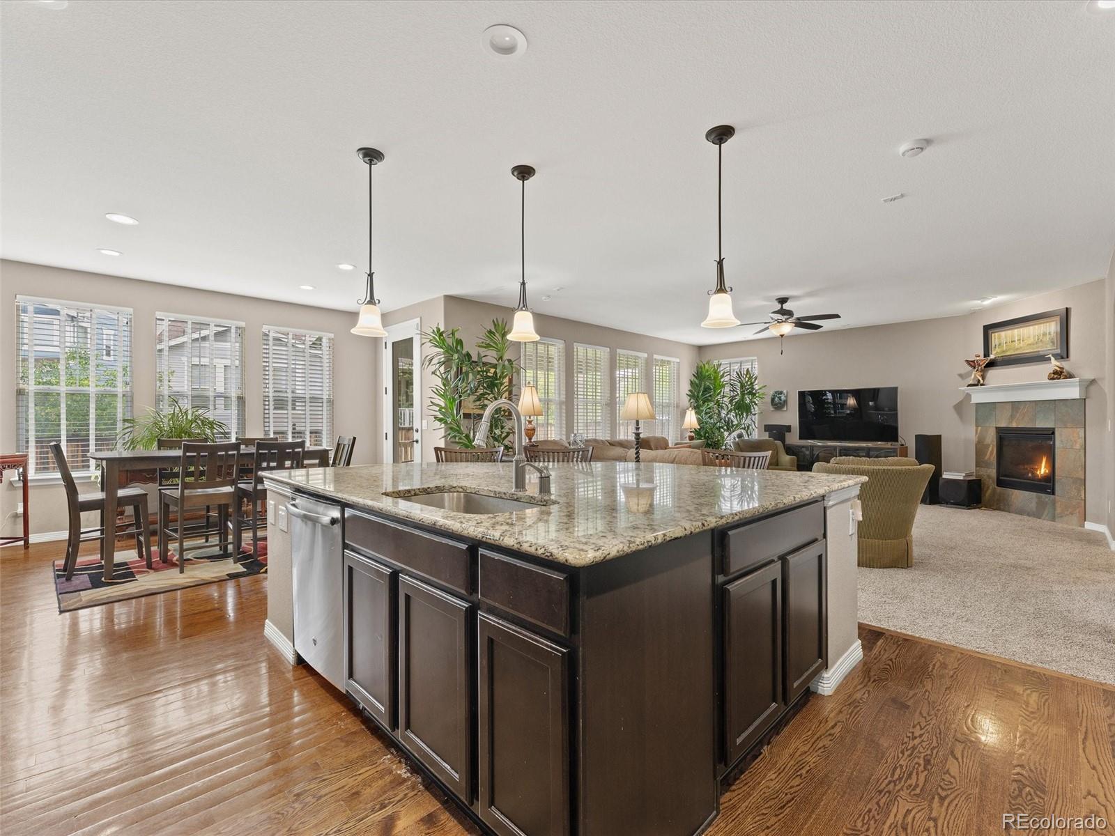 MLS Image #9 for 3919  desert ridge circle,castle rock, Colorado