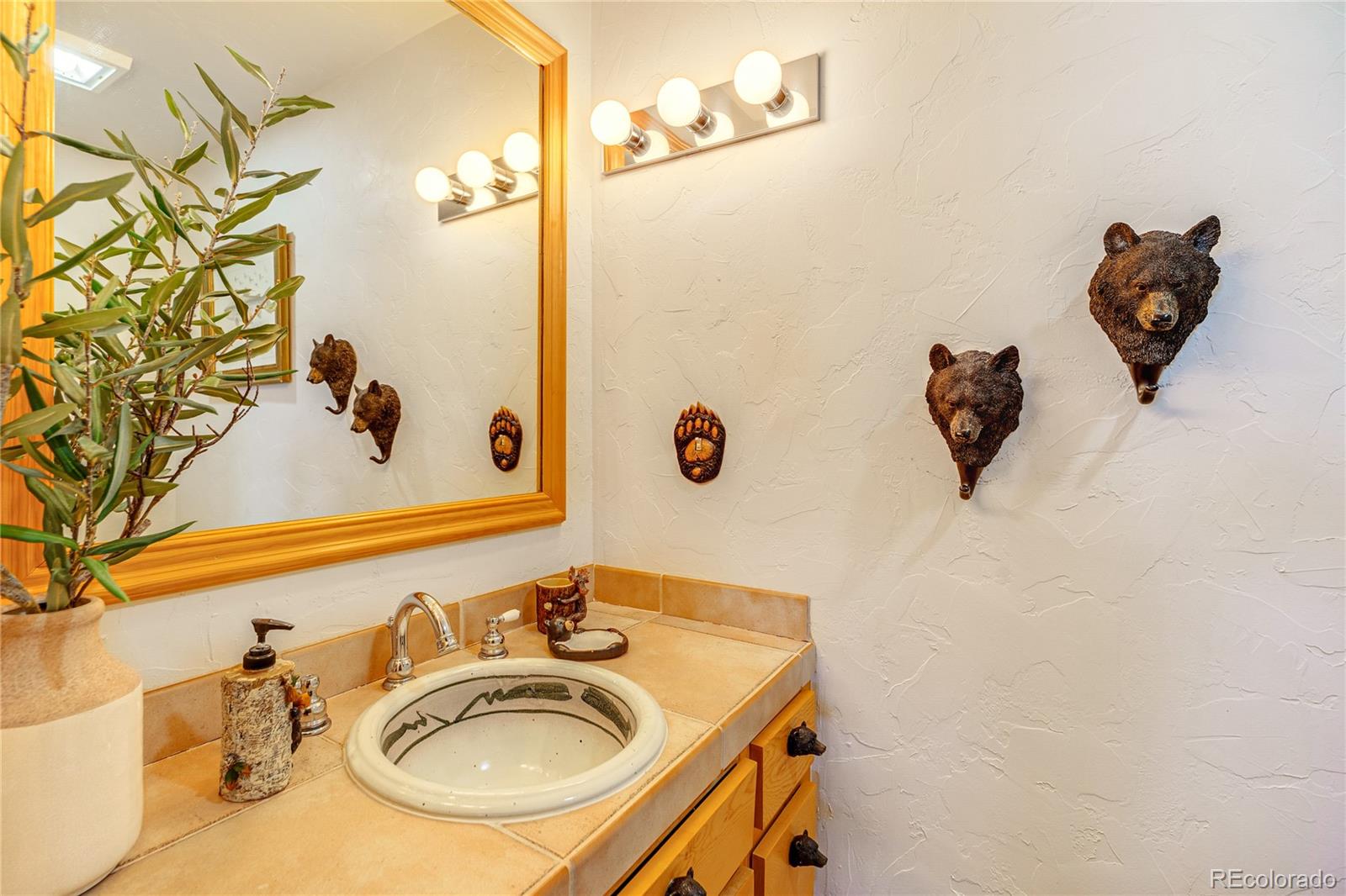MLS Image #12 for 528  mohawk heights,florissant, Colorado