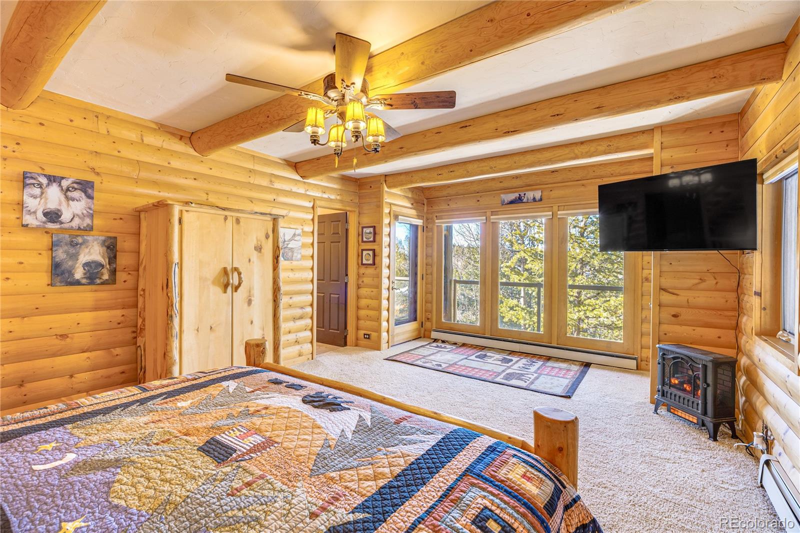 MLS Image #15 for 528  mohawk heights,florissant, Colorado