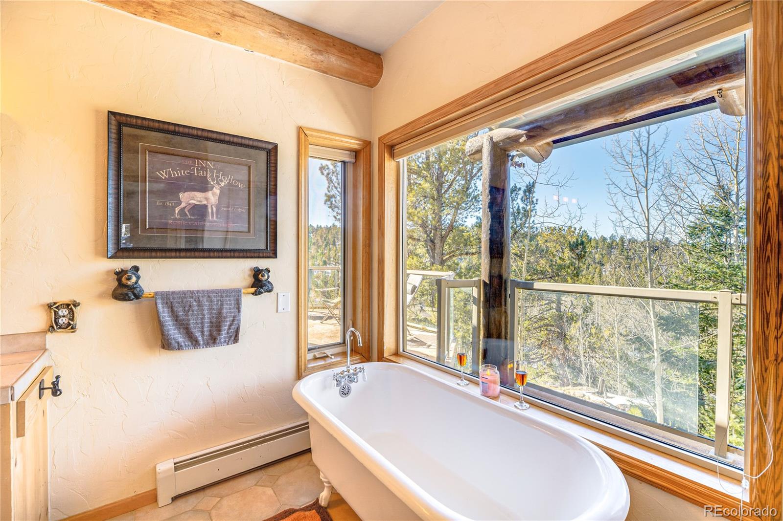 MLS Image #16 for 528  mohawk heights,florissant, Colorado