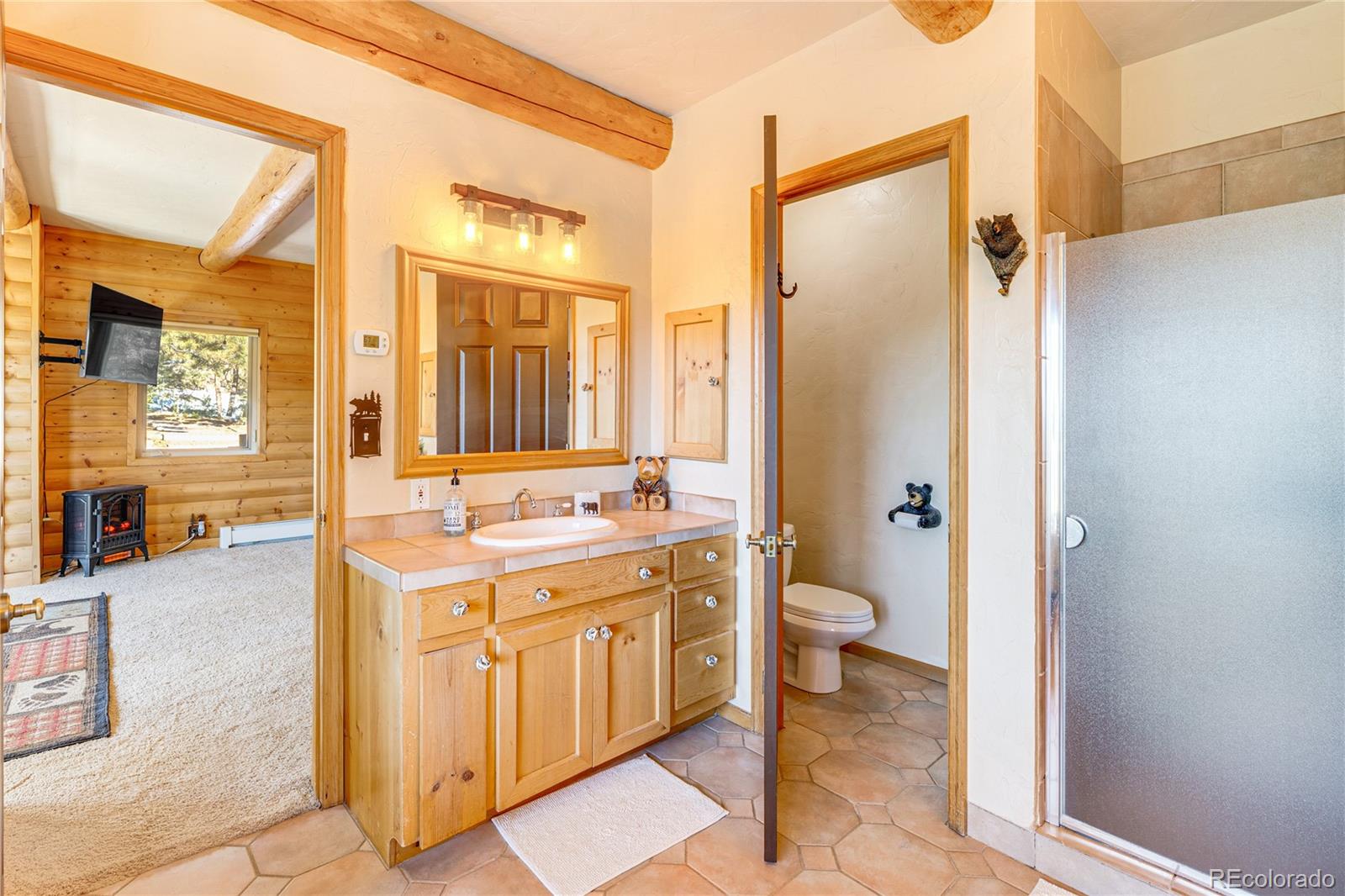 MLS Image #17 for 528  mohawk heights,florissant, Colorado