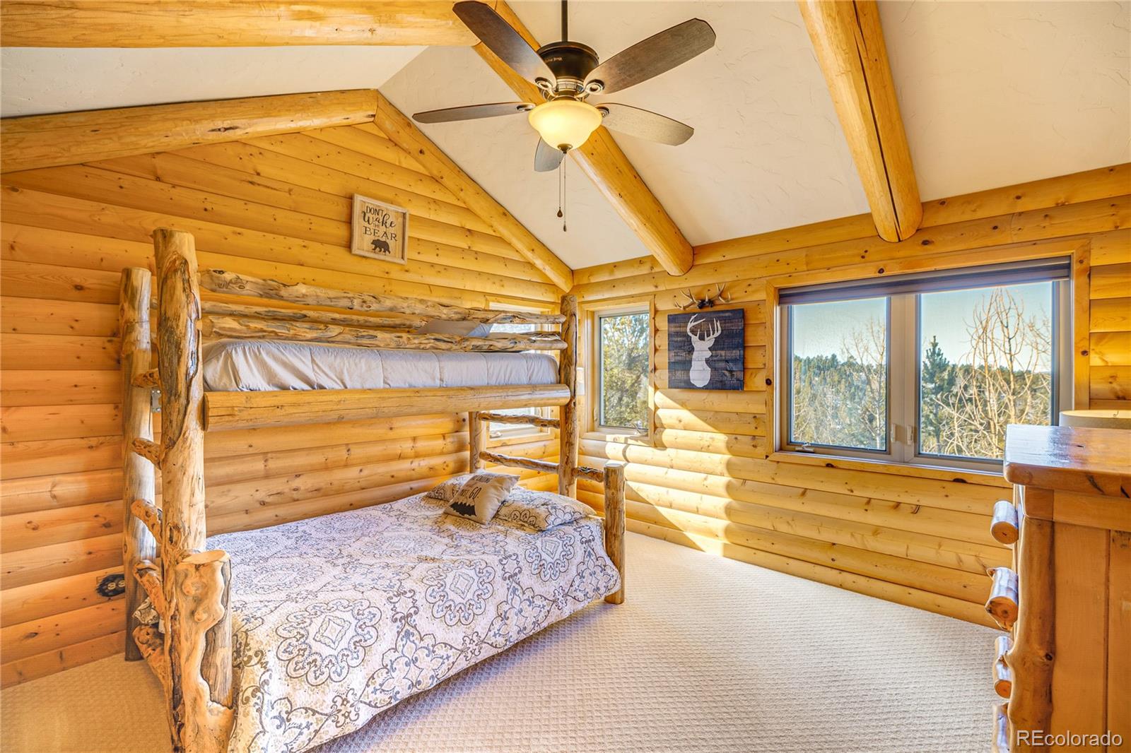 MLS Image #18 for 528  mohawk heights,florissant, Colorado