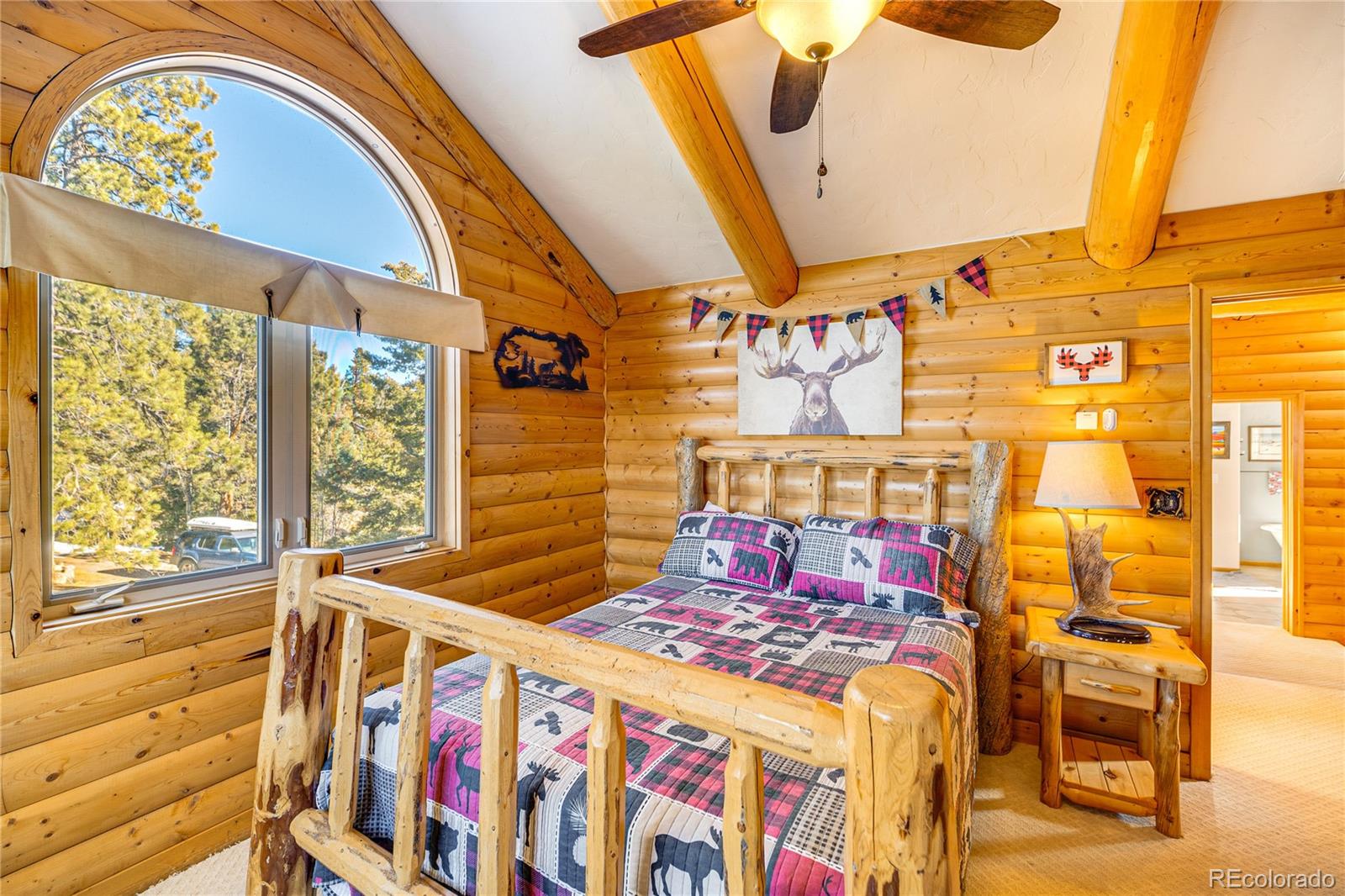 MLS Image #21 for 528  mohawk heights,florissant, Colorado