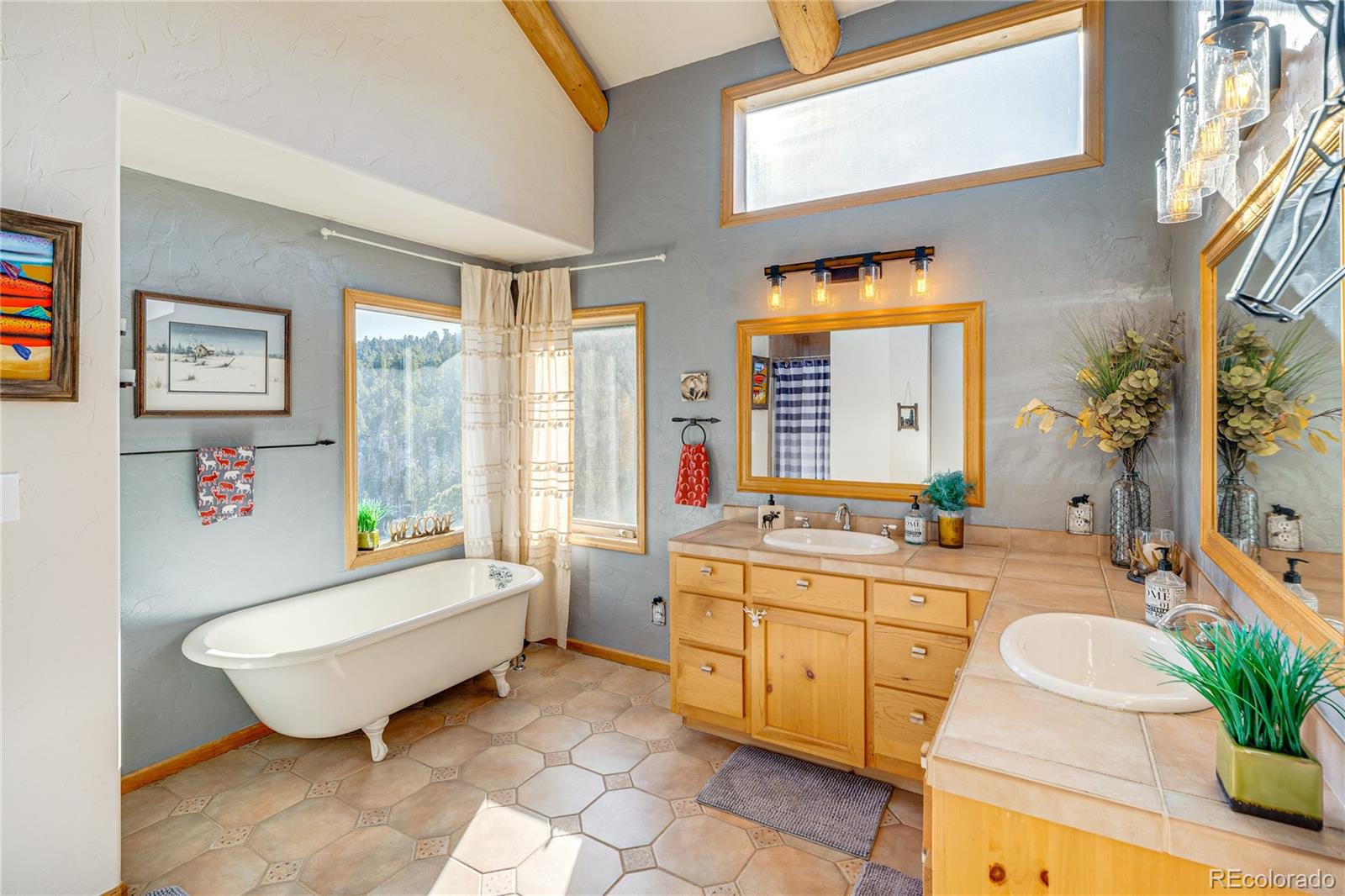 MLS Image #23 for 528  mohawk heights,florissant, Colorado