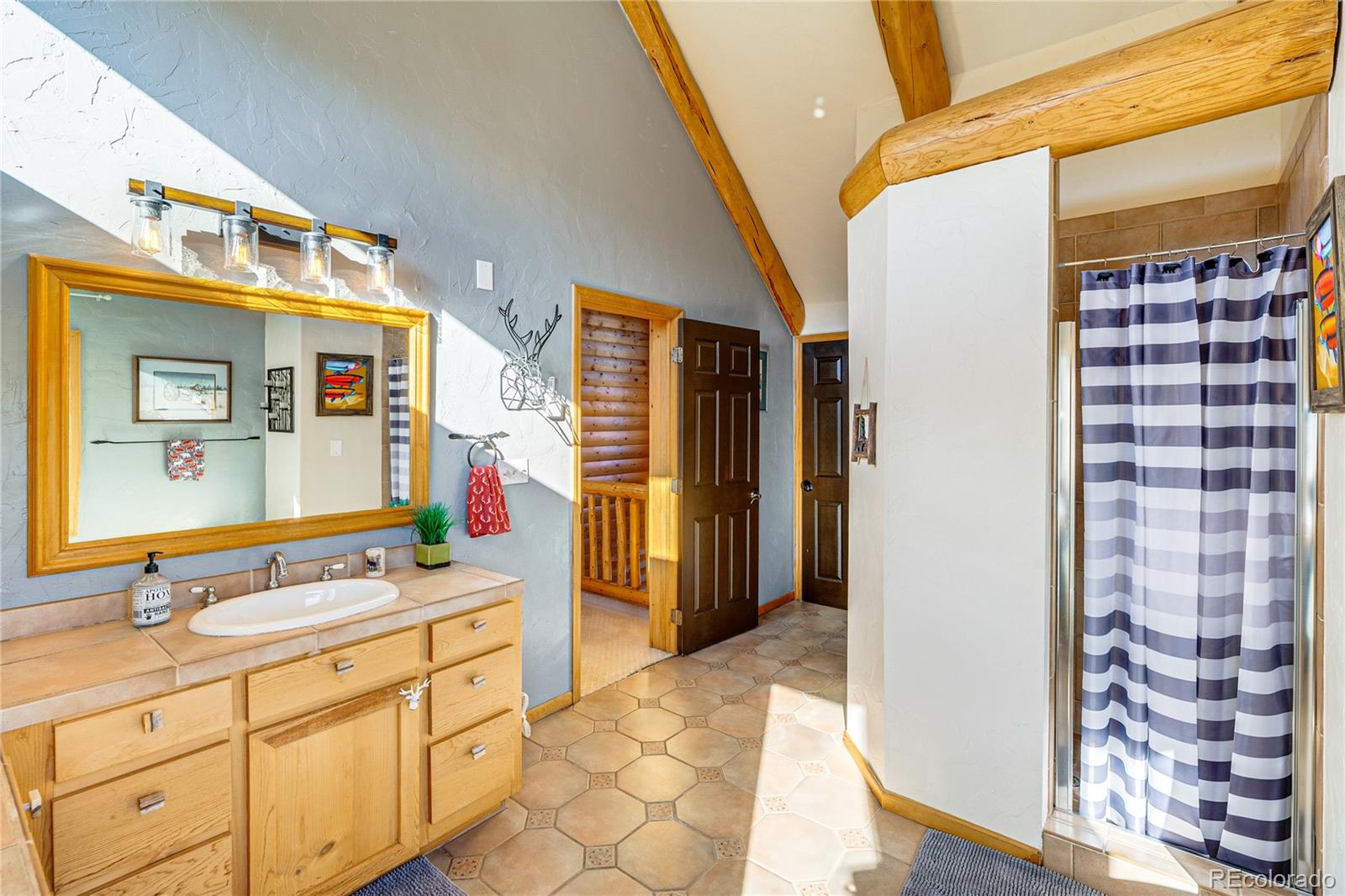 MLS Image #24 for 528  mohawk heights,florissant, Colorado