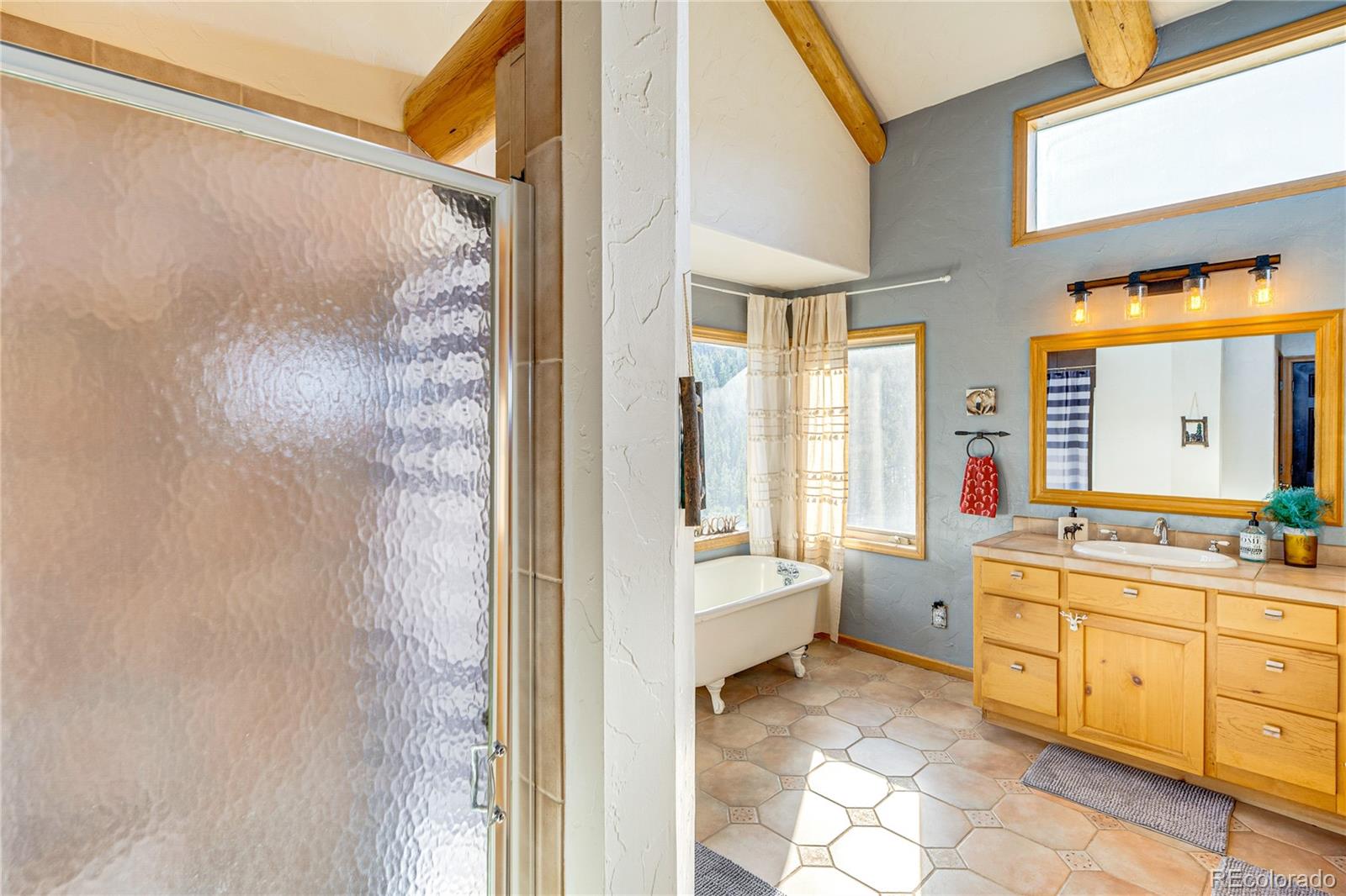 MLS Image #25 for 528  mohawk heights,florissant, Colorado