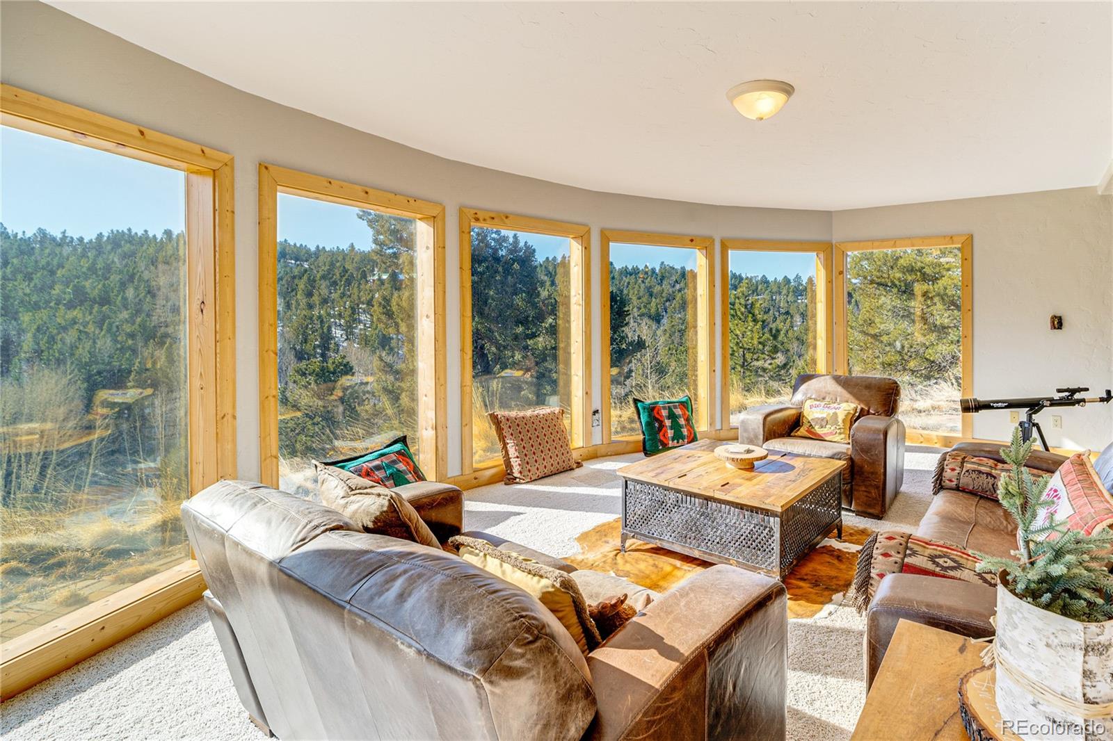 MLS Image #29 for 528  mohawk heights,florissant, Colorado