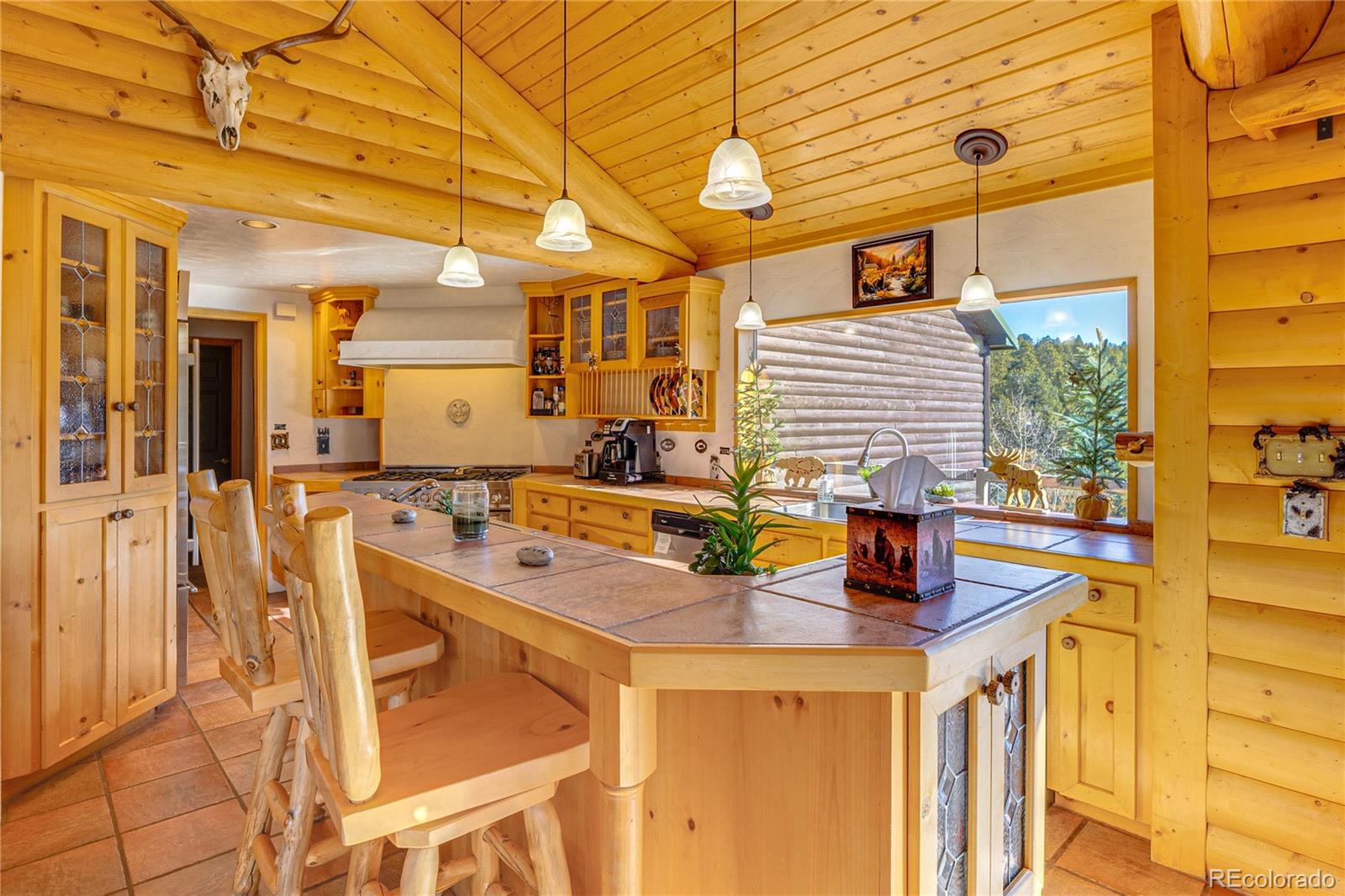 MLS Image #7 for 528  mohawk heights,florissant, Colorado