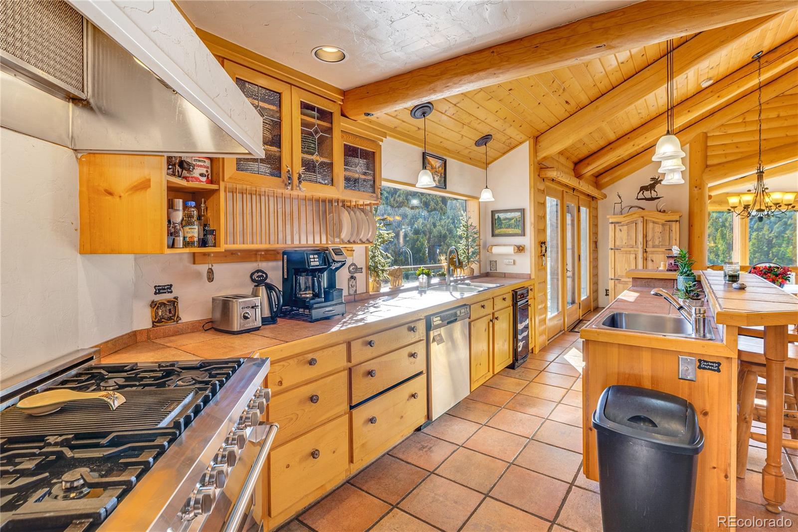 MLS Image #8 for 528  mohawk heights,florissant, Colorado