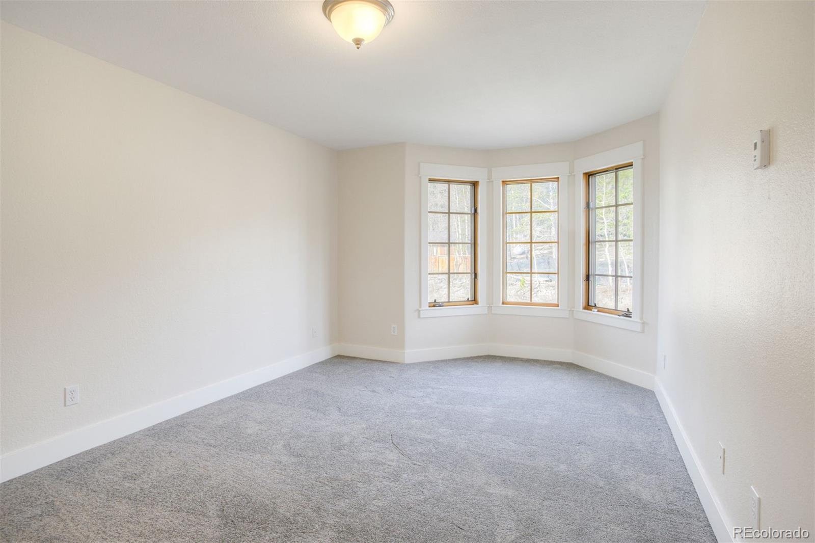 MLS Image #18 for 372 n oak street,alma, Colorado