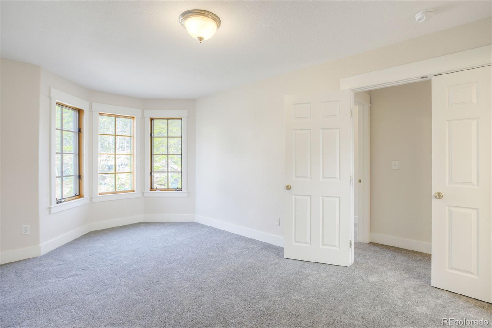 MLS Image #19 for 372 n oak street,alma, Colorado
