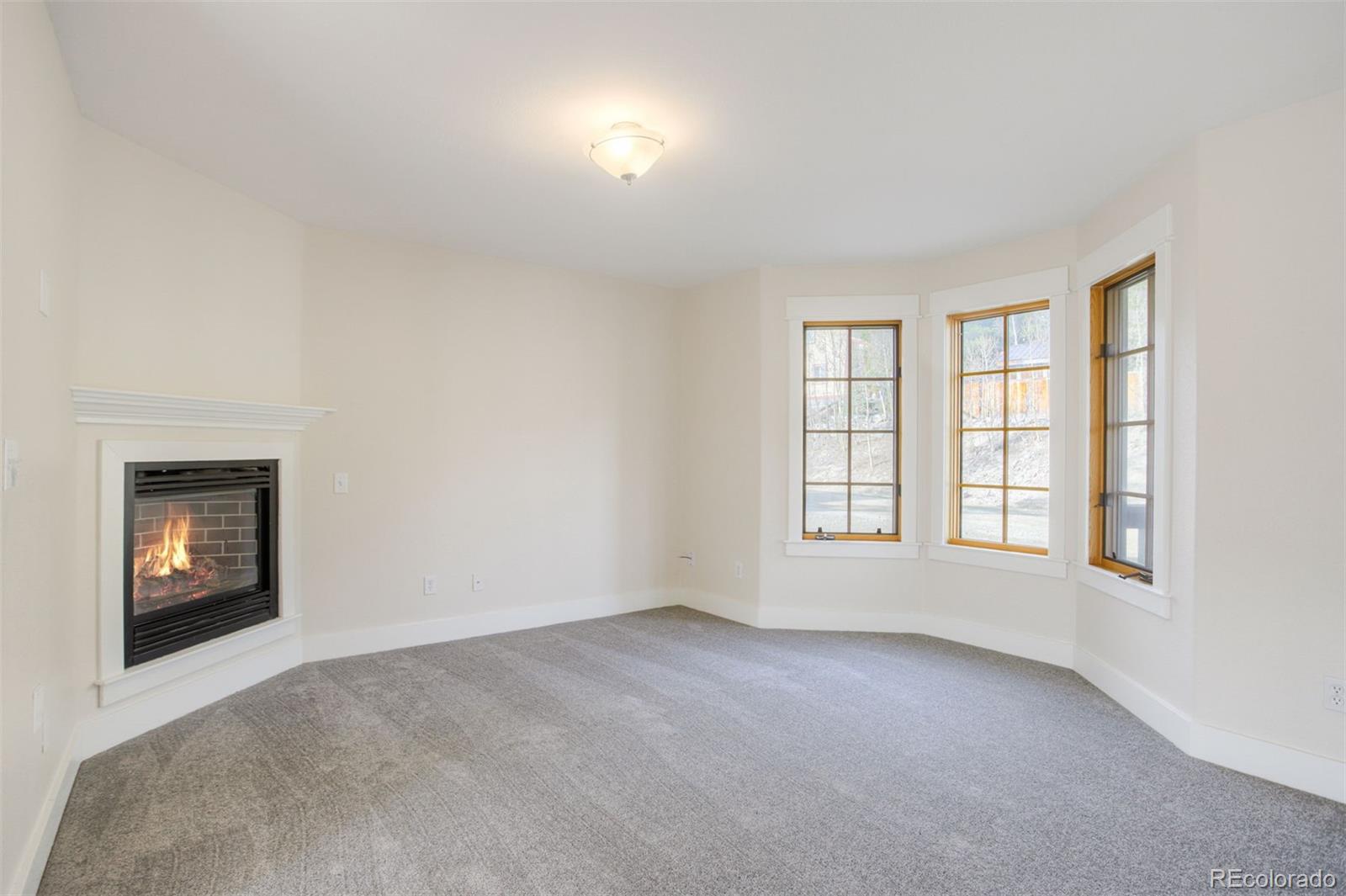 MLS Image #2 for 372 n oak street,alma, Colorado