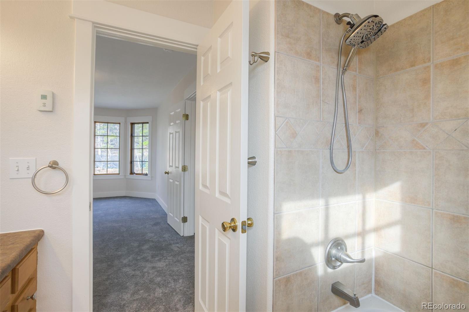 MLS Image #22 for 372 n oak street,alma, Colorado