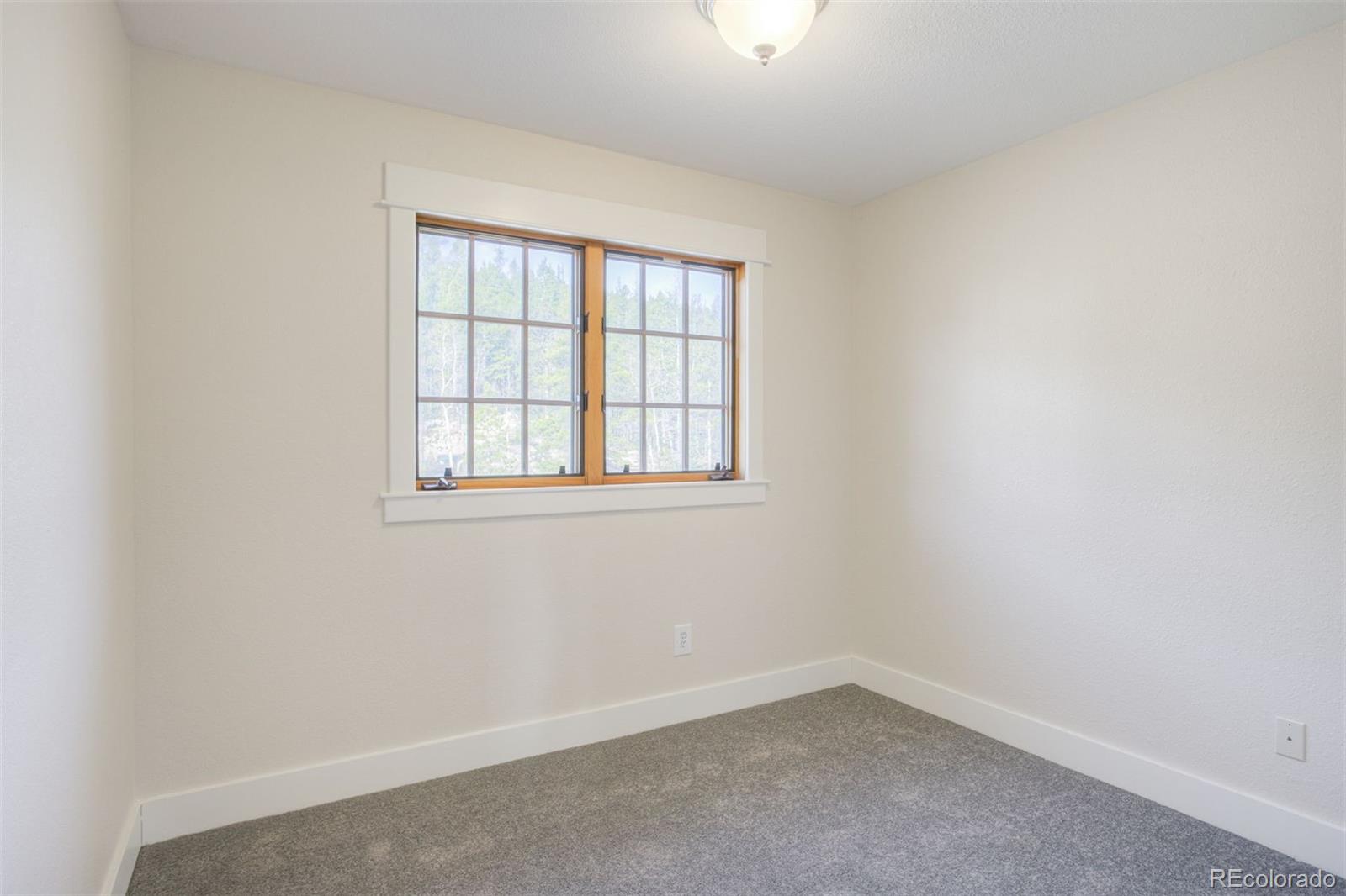 MLS Image #23 for 372 n oak street,alma, Colorado
