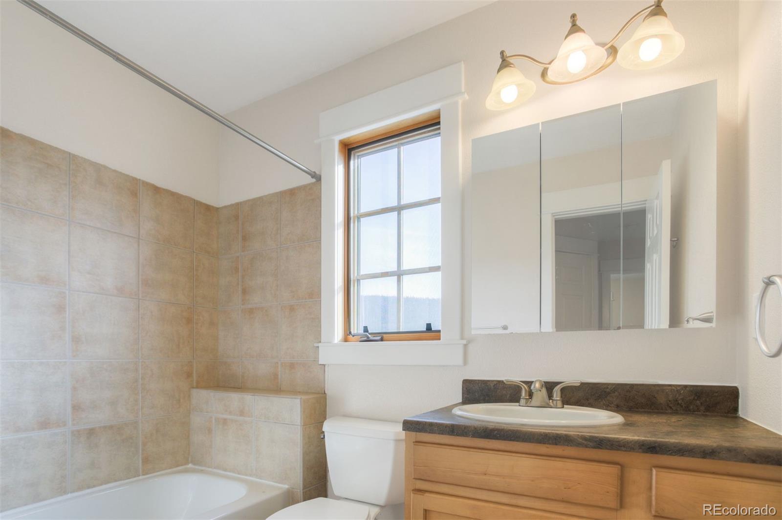 MLS Image #25 for 372 n oak street,alma, Colorado