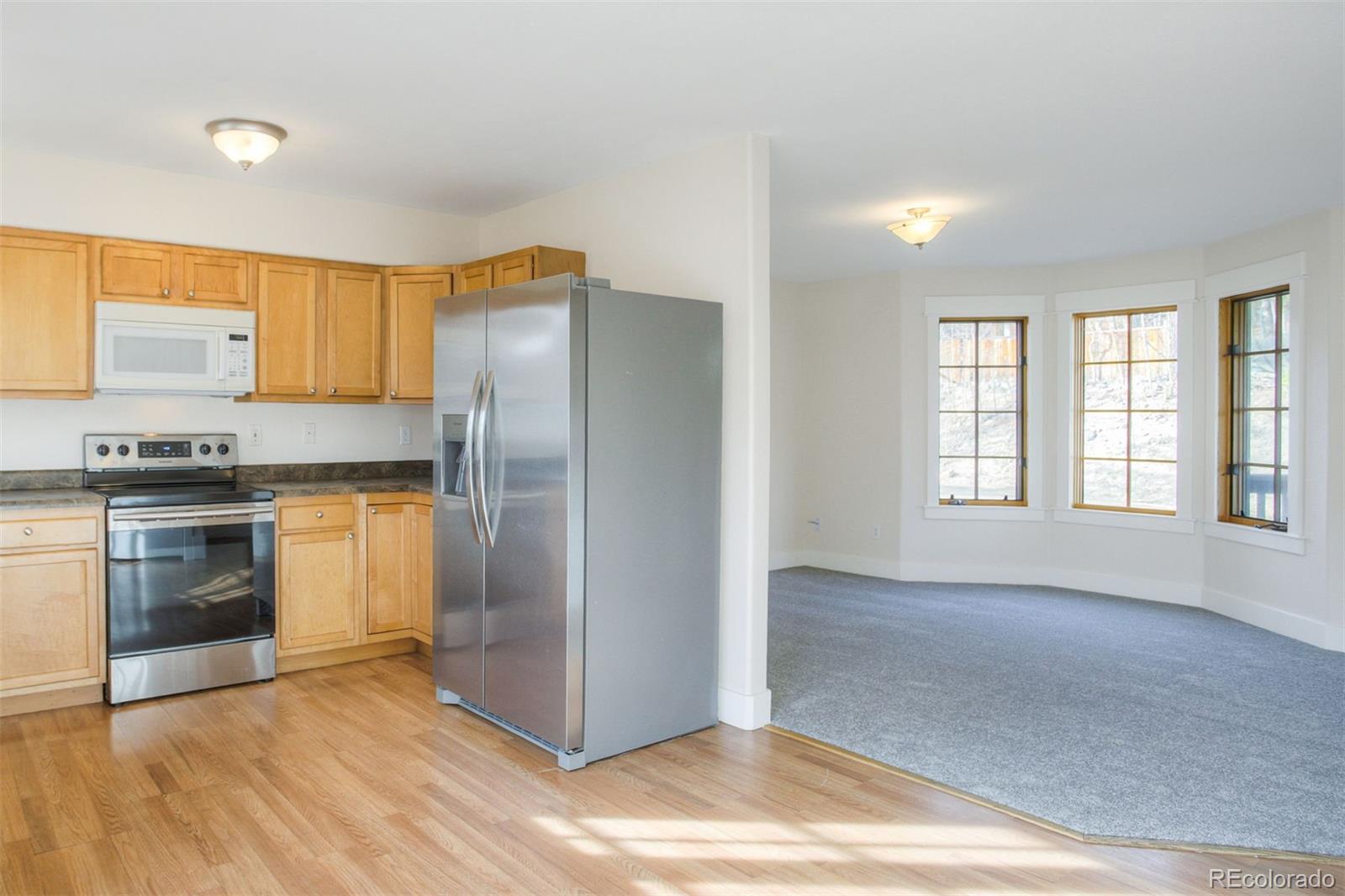 MLS Image #6 for 372 n oak street,alma, Colorado