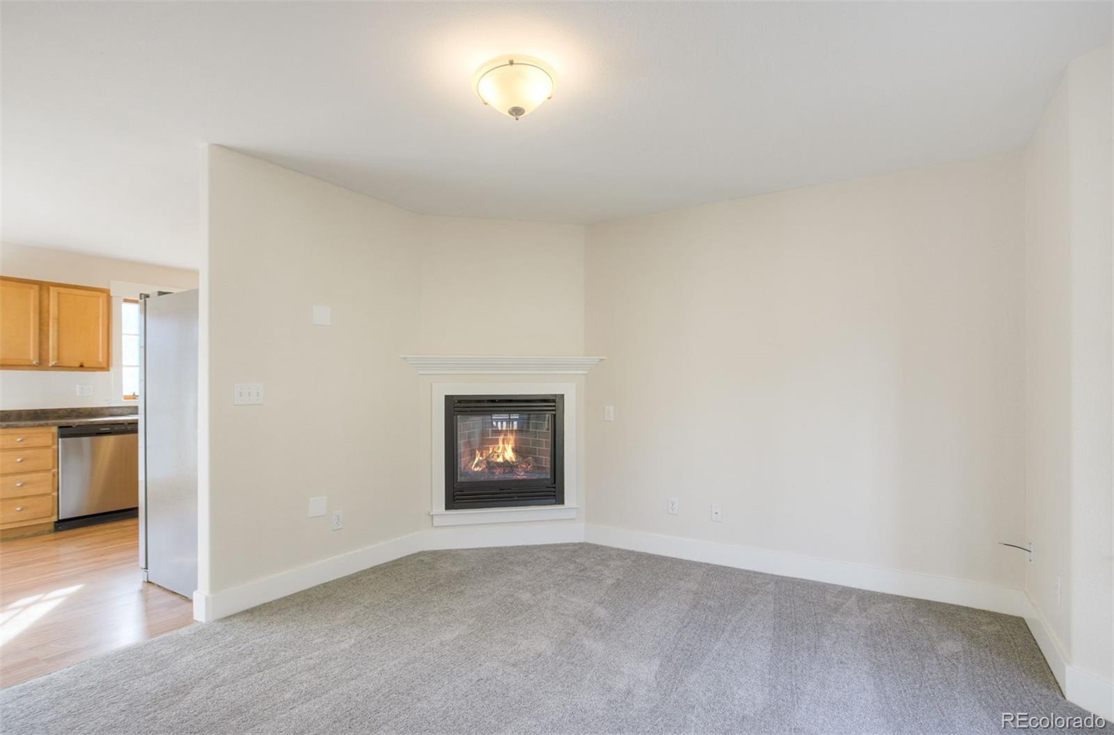 MLS Image #7 for 372 n oak street,alma, Colorado