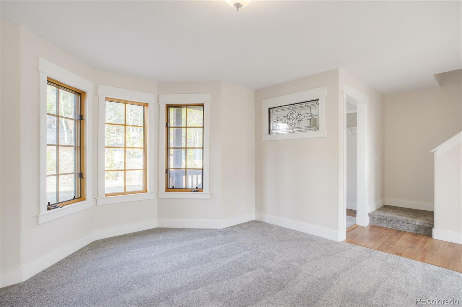 MLS Image #8 for 372 n oak street,alma, Colorado