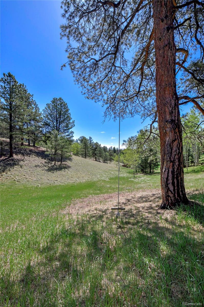 MLS Image #2 for 63  star view trail,divide, Colorado