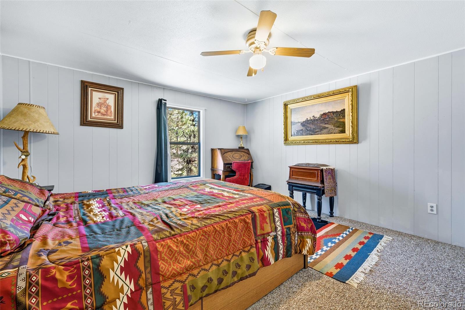 MLS Image #23 for 63  star view trail,divide, Colorado