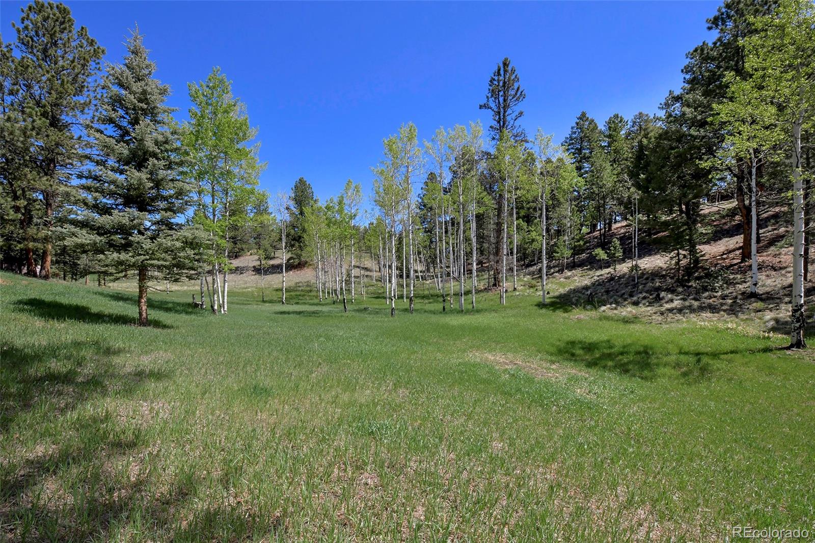 MLS Image #3 for 63  star view trail,divide, Colorado