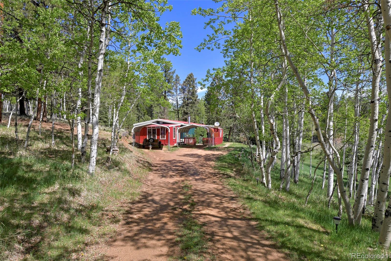 MLS Image #30 for 63  star view trail,divide, Colorado